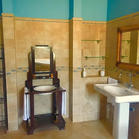 Salteri بينايدورم