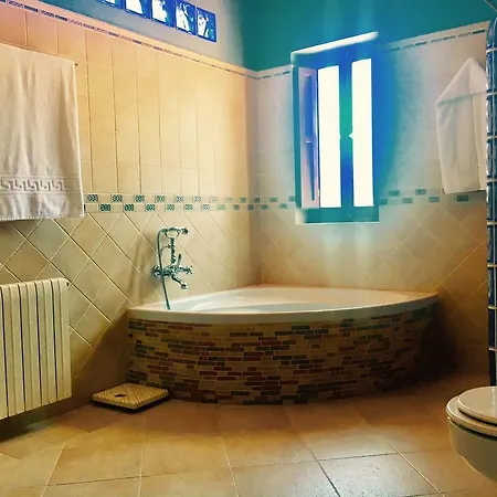 Salteri فيلة بينايدورم